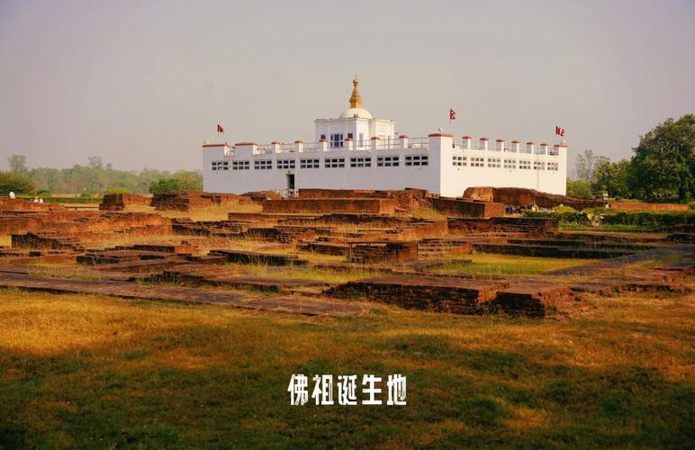 诞生地点