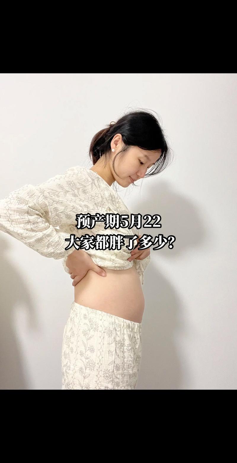 张黎试管婴儿：孕期肚子有多大？