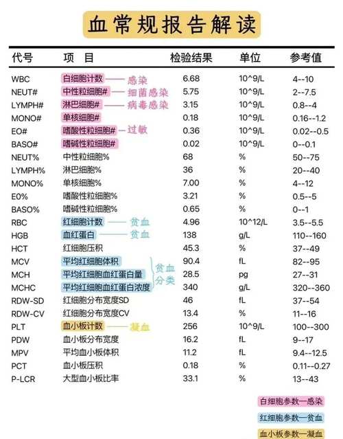 血常规指标