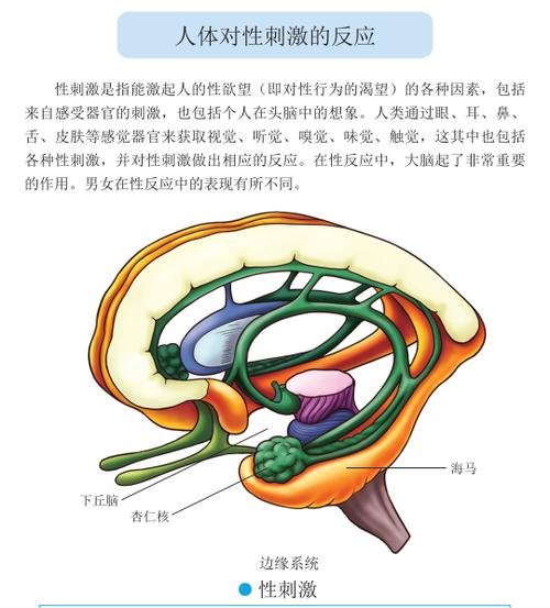 生殖应用