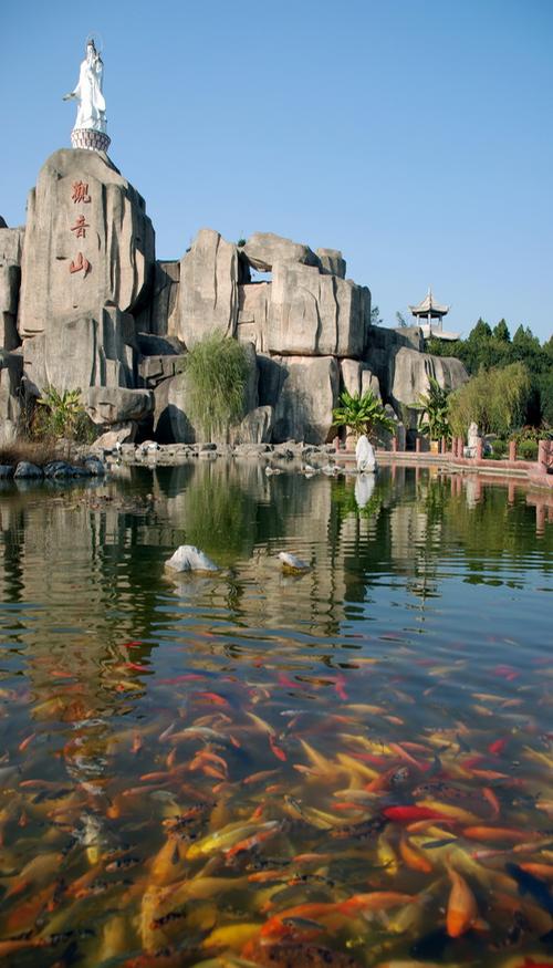 阜阳市