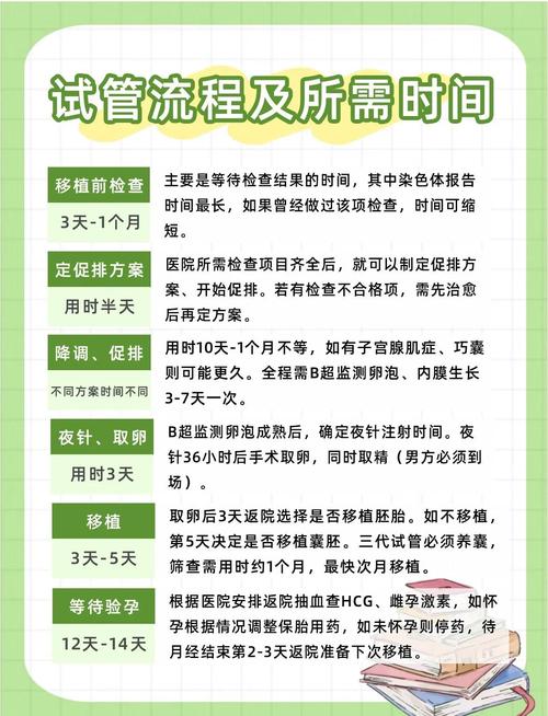 蔷薇试管婴儿