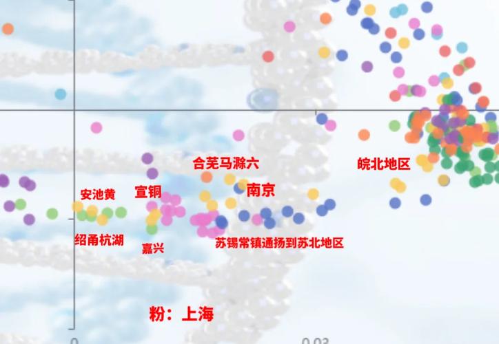 基因亲缘