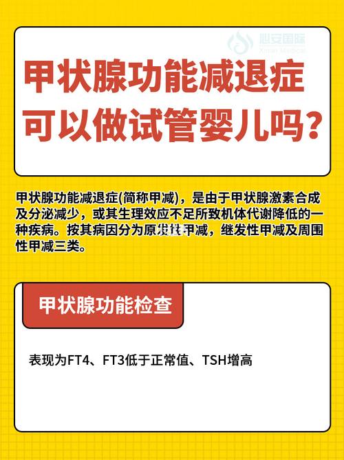 甲减女性如何成功进行试管婴儿？