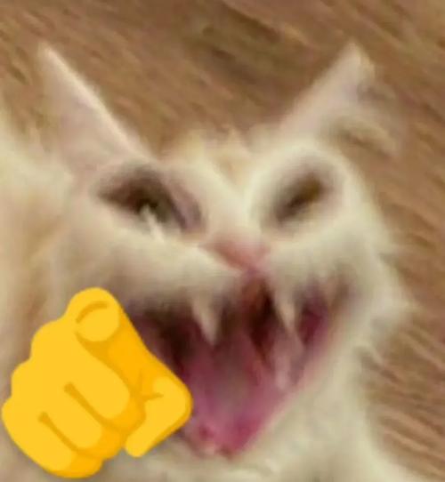 嘲笑