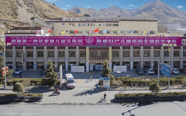 西藏试管婴儿医院