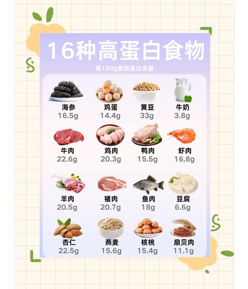  高蛋白饮食