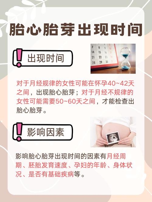 试管婴儿多久第一次查胎心？