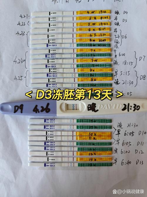试管婴儿移植13天后有何变化？