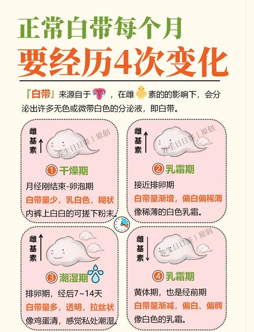  白带变化