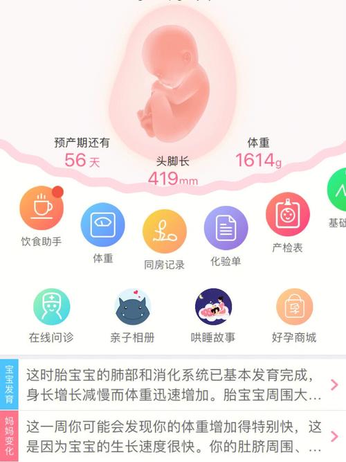 试管婴儿怀孕后胎动时间表？