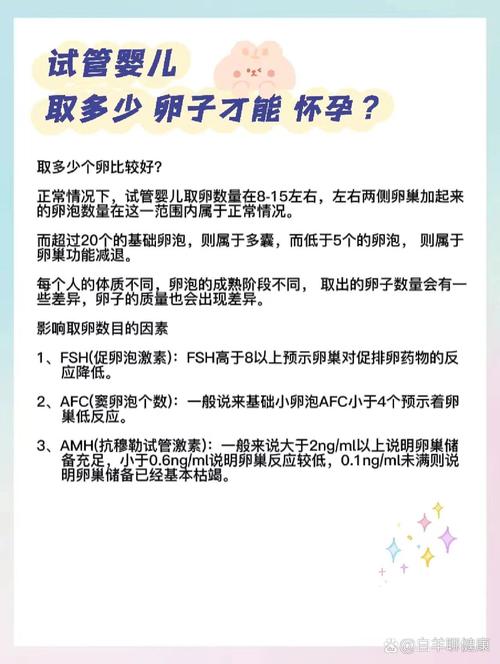 试管婴儿取卵16颗，成功率如何？