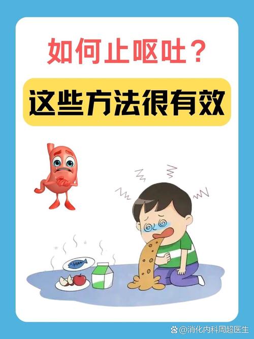 呕吐应对