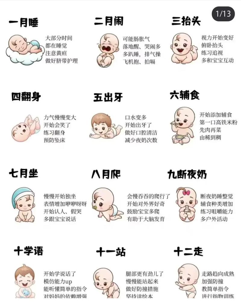 出生过程