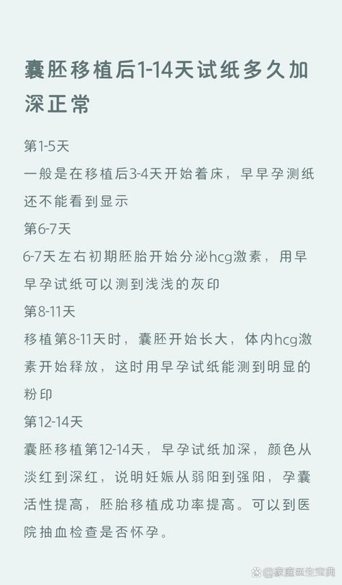 试管婴儿移植后多久检测是否成功？