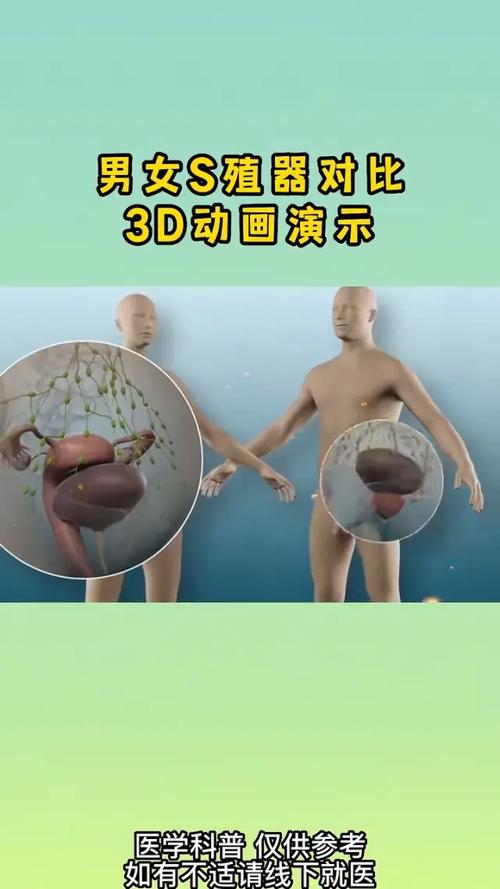 人类生殖