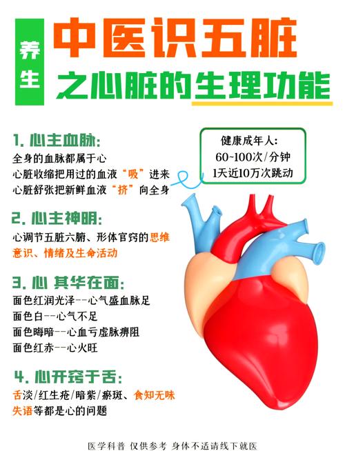 心脏功能