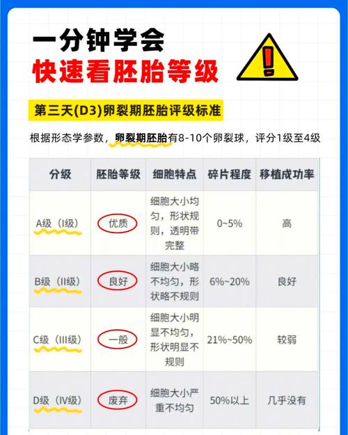 生殖医疗
描述: 本文详细解读了试管婴儿胚胎评级标准，包括评级的重要性、依据、常见评级系统等，还给出了根据评级选择胚胎的建议，帮助患者更好地了解胚胎情况，提高试管婴儿成功率 。