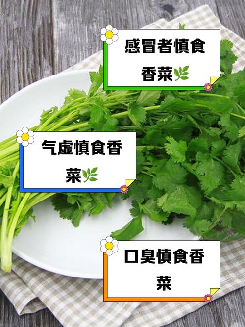 试管婴儿饮食禁忌：香菜能吃吗？