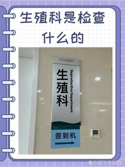 生殖系统评估