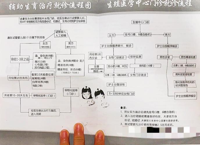 试管婴儿检查意义