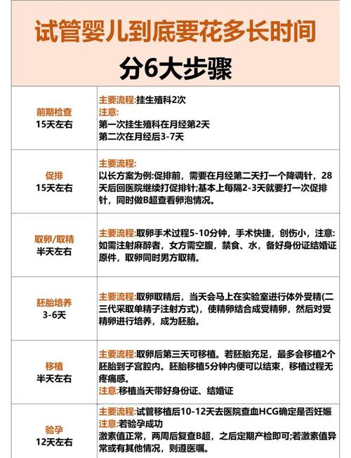 试管婴儿的费用、过程与时间