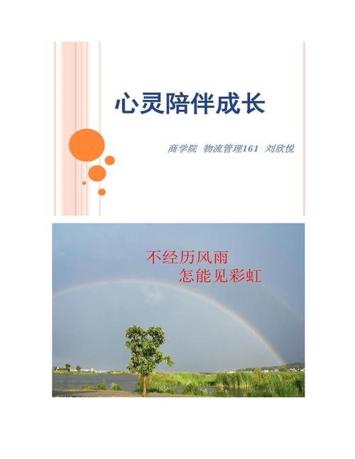心灵陪伴