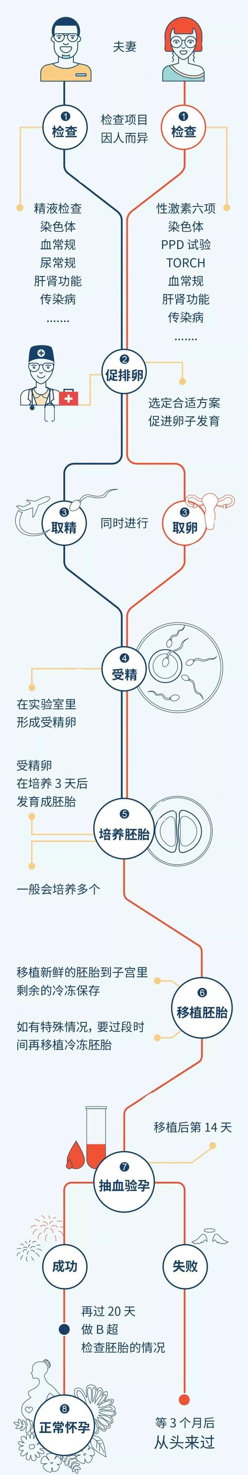 试管婴儿移植入母体时间攻略