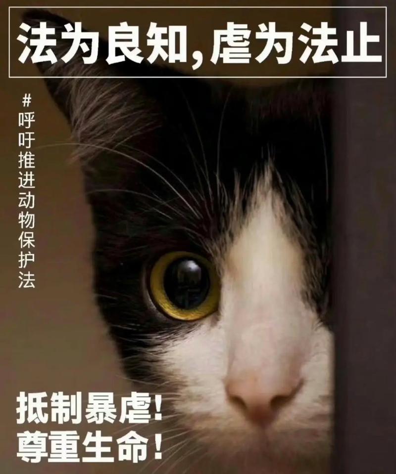 拒养