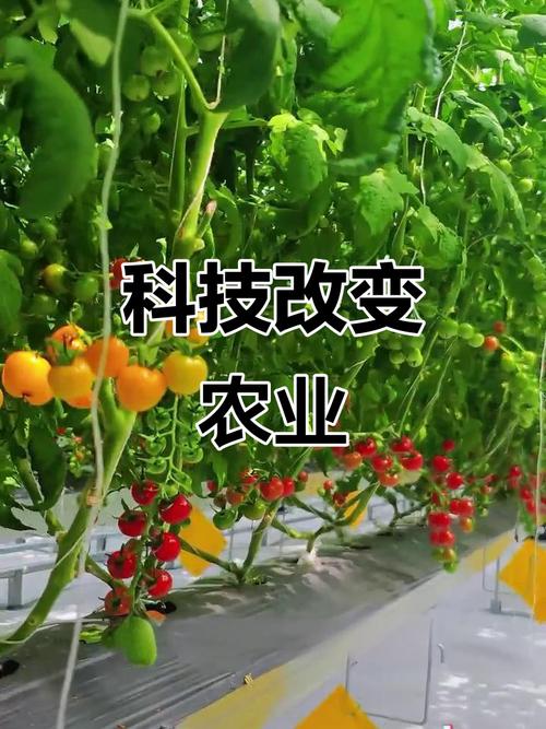 农业科技