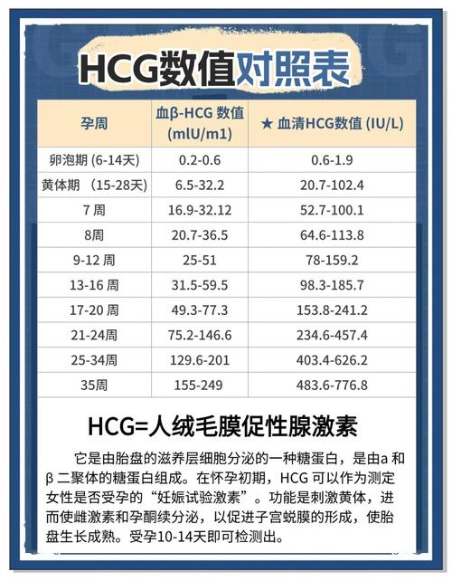 hCG解读