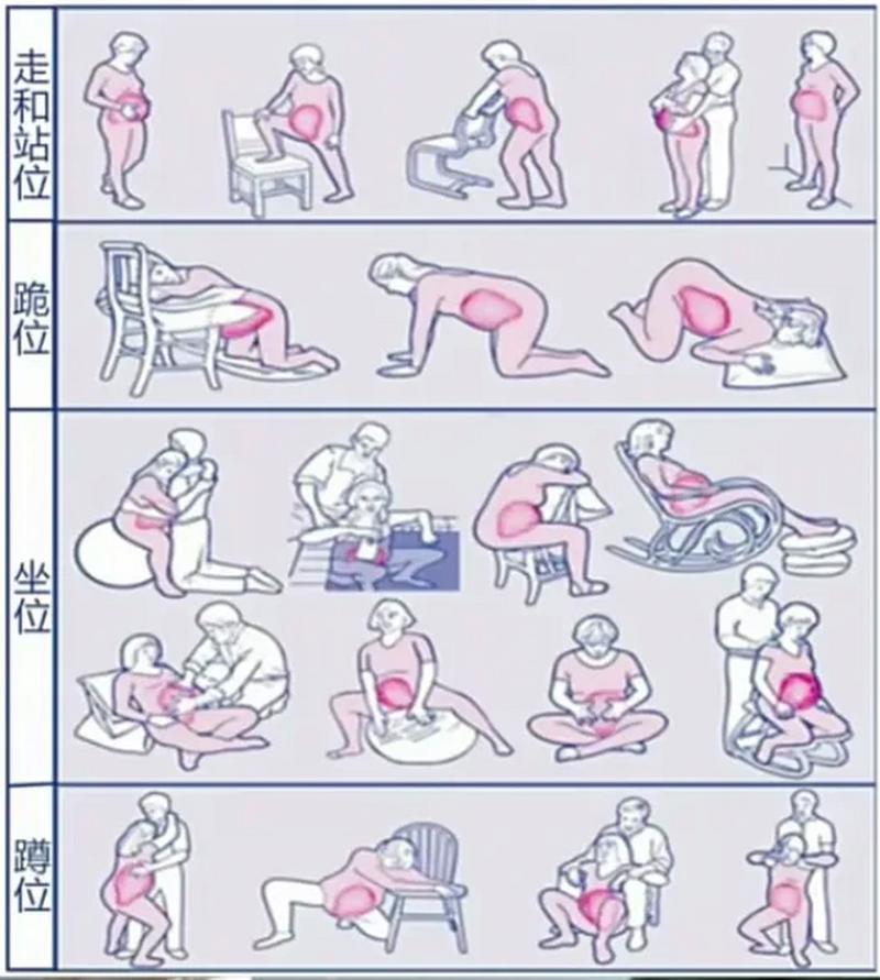 传统生殖方式
