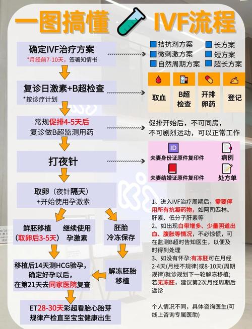 试管流程