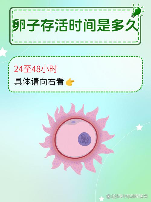  存活时间