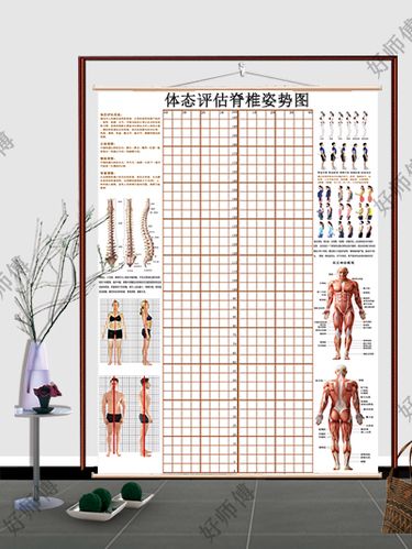 形态学评估
