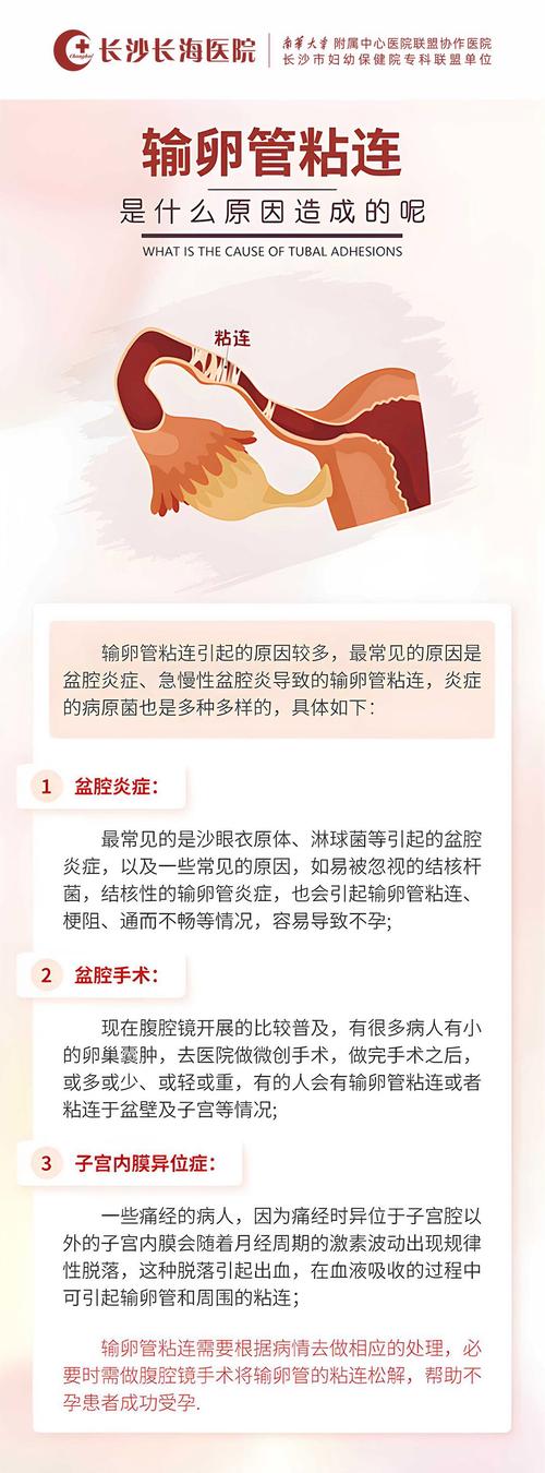 输卵管因素不孕