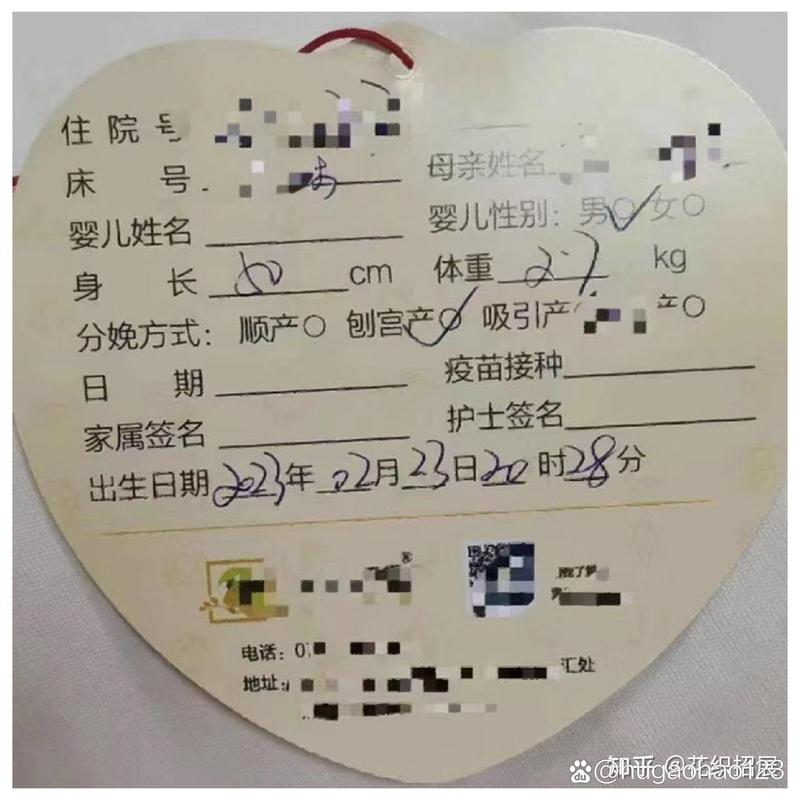 试管婴儿真实经历