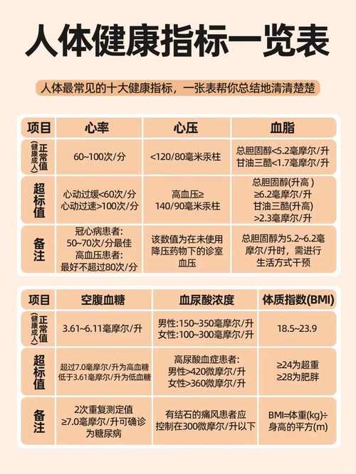 身体检查指标