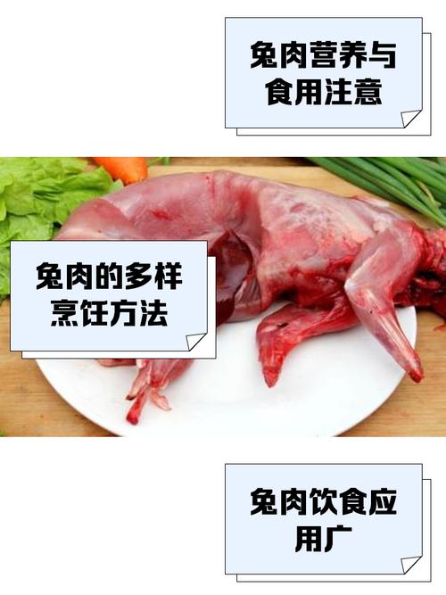 试管婴儿饮食指南：兔肉是否安全？