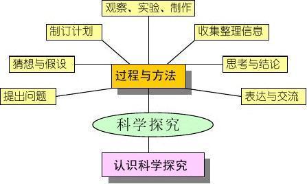 科学流程