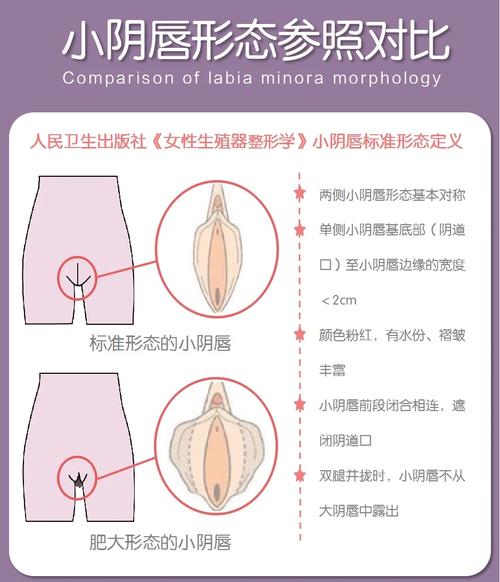 生殖案例