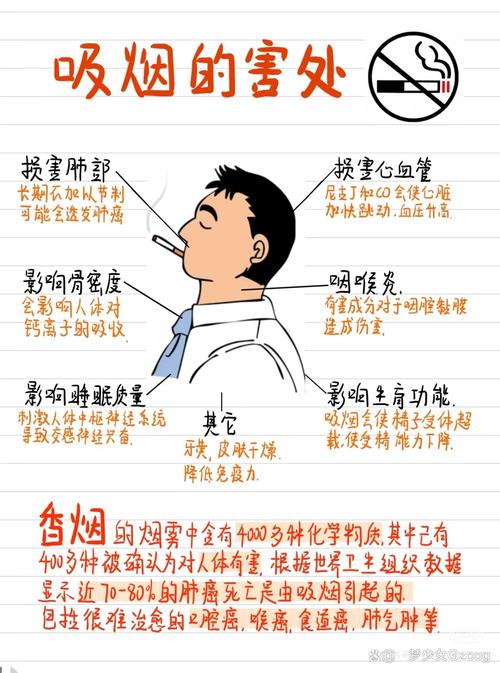  吸烟影响