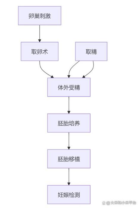 神经发育
描述: 本文围绕试管婴儿与自闭症风险的关联性展开探讨，分析了可能影响两者关联的因素，如技术操作、父母心理压力、年龄等，指出目前尚无定论，应以科学态度看待，期待医学进步保障试管婴儿健康成长 。
