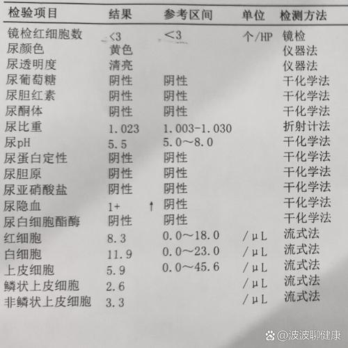 尿液隐血