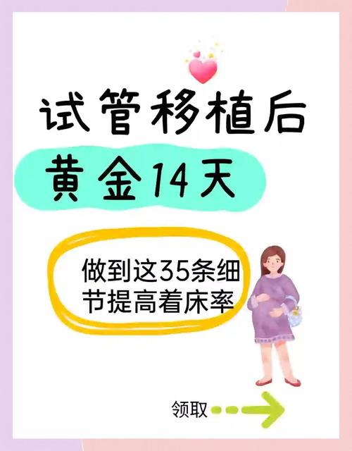 试管婴儿移植后如何助力成功着床？