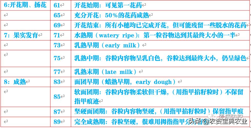 全过程时长