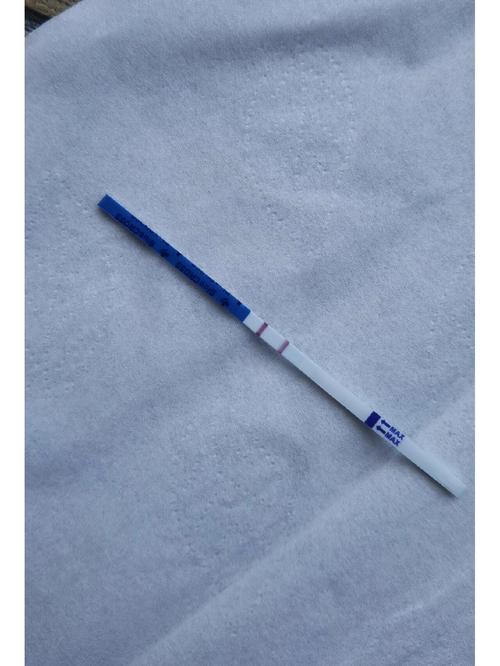  验孕试纸