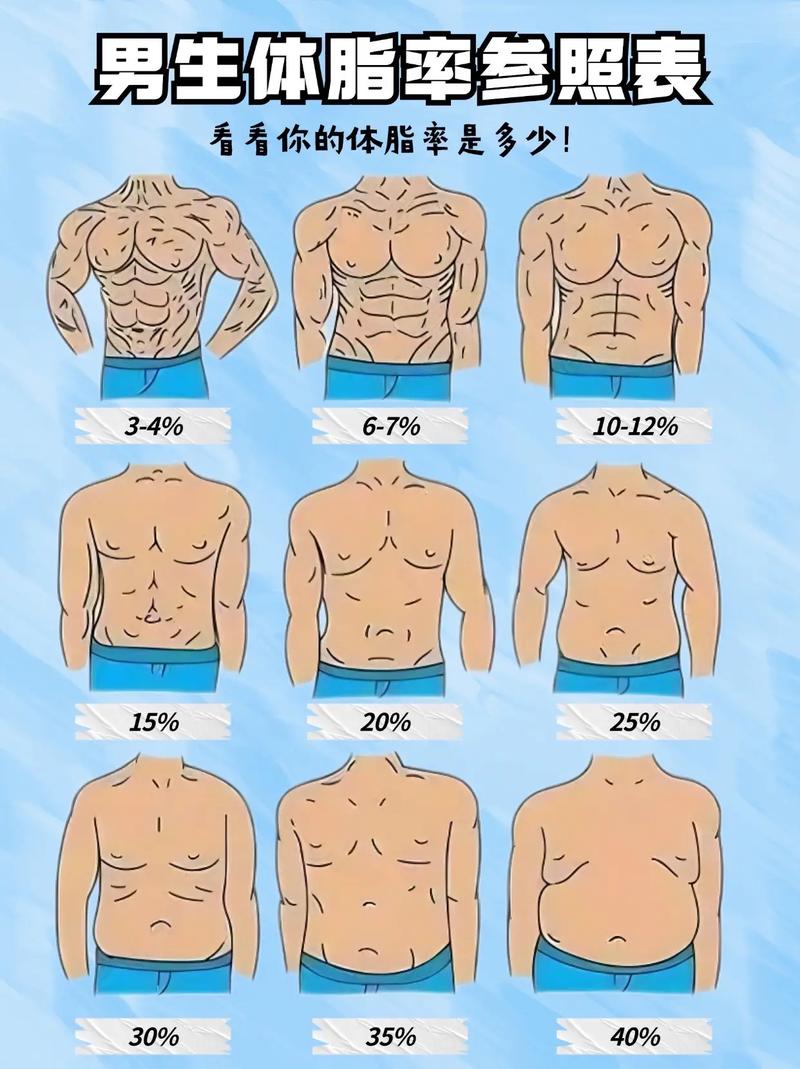 体脂率