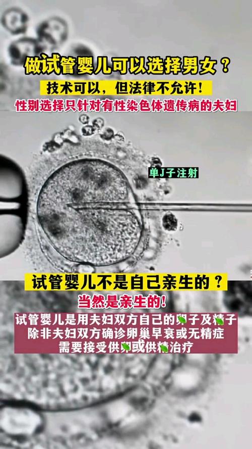 试管婴儿也是一个受孕的选择吗？