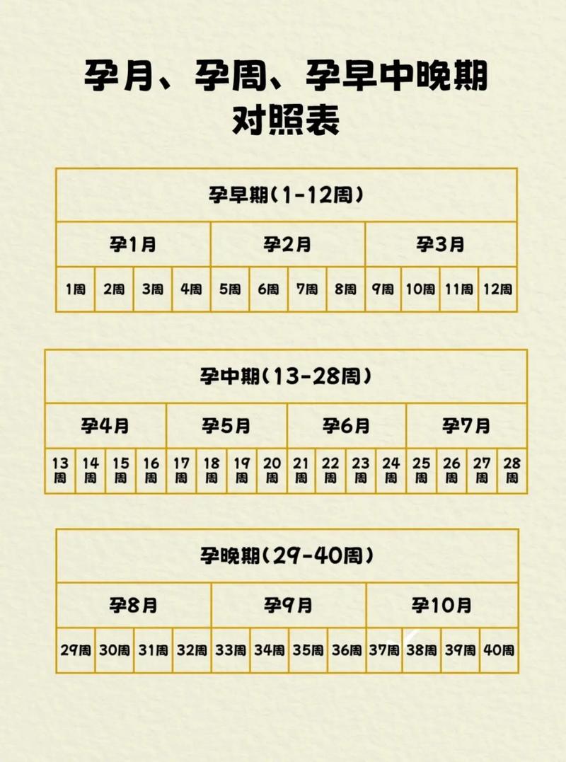 孕期月份计算